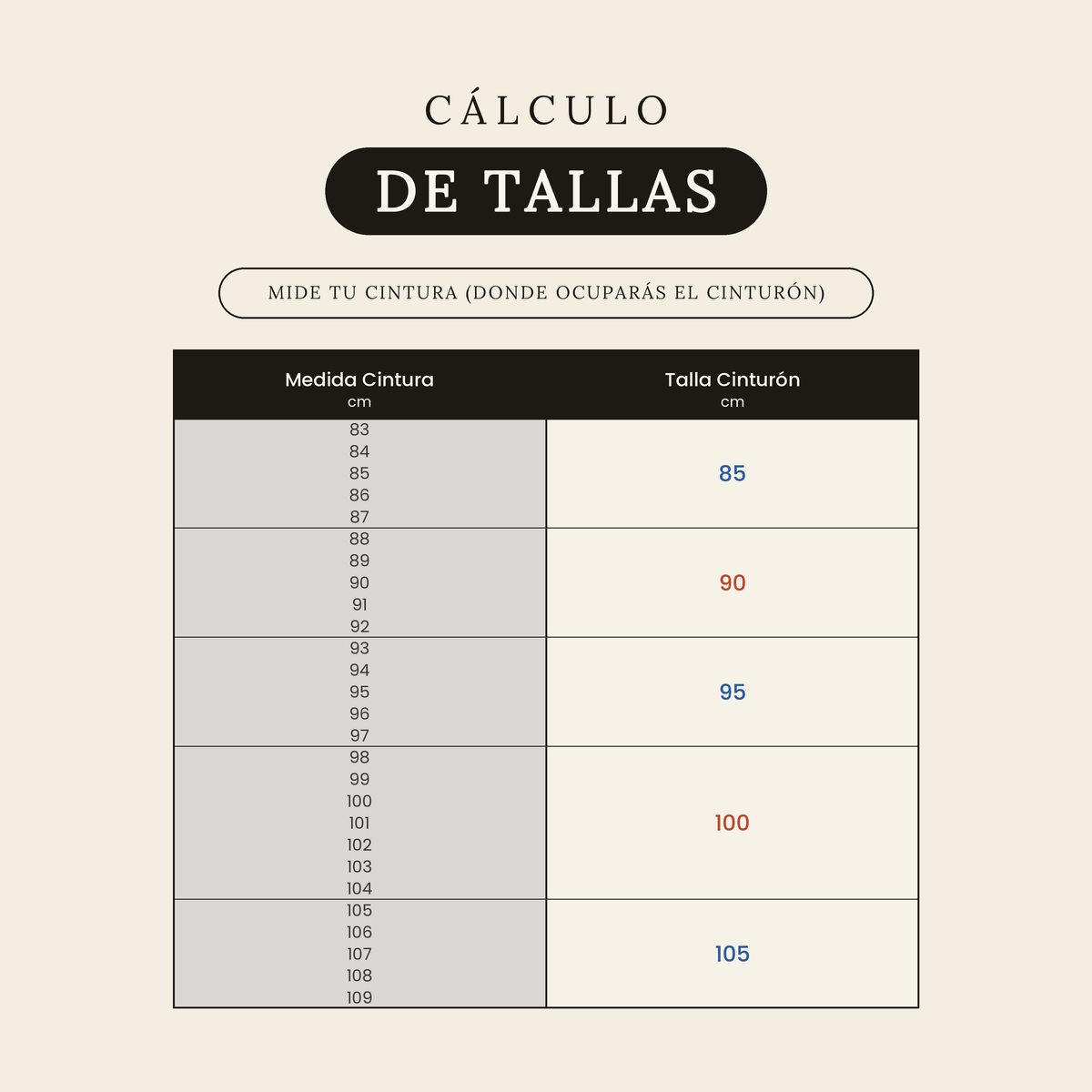 Cinturón Tecámac guía de tallas